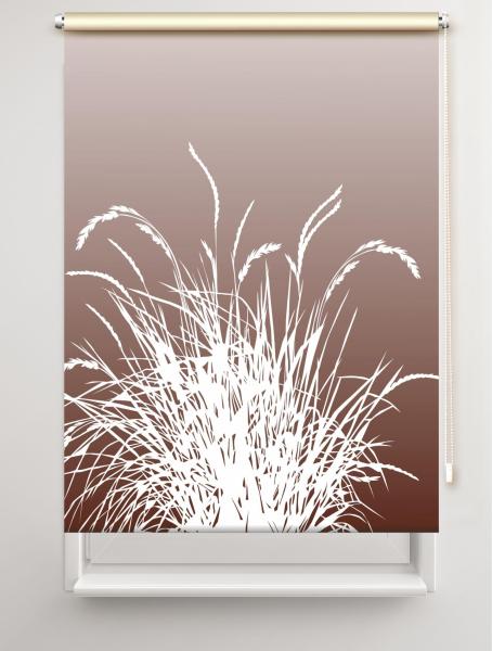 Rollo Reed24 coffee dark - Sichtschutz Extartiqe